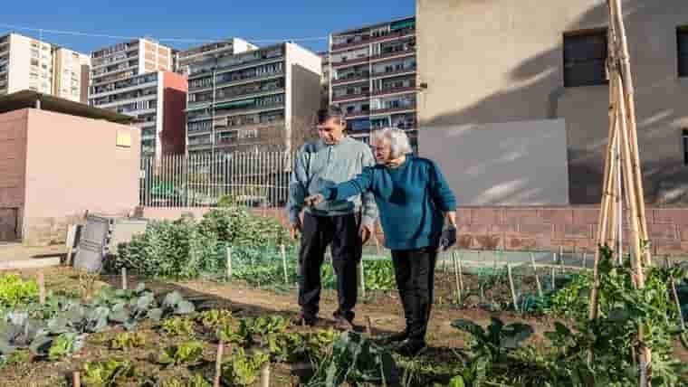 Taller 'Mans a l'hort: El calendari de cultiu'