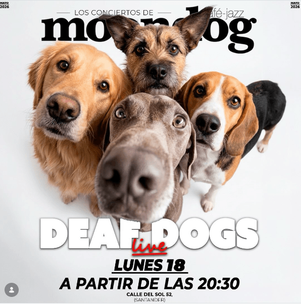 Deaf Dogs en concierto