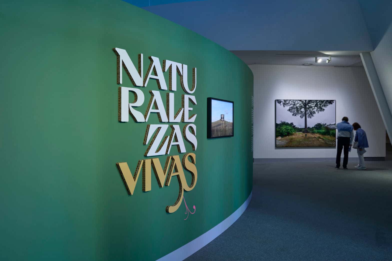 Taller en familia - Naturalezas Vivas