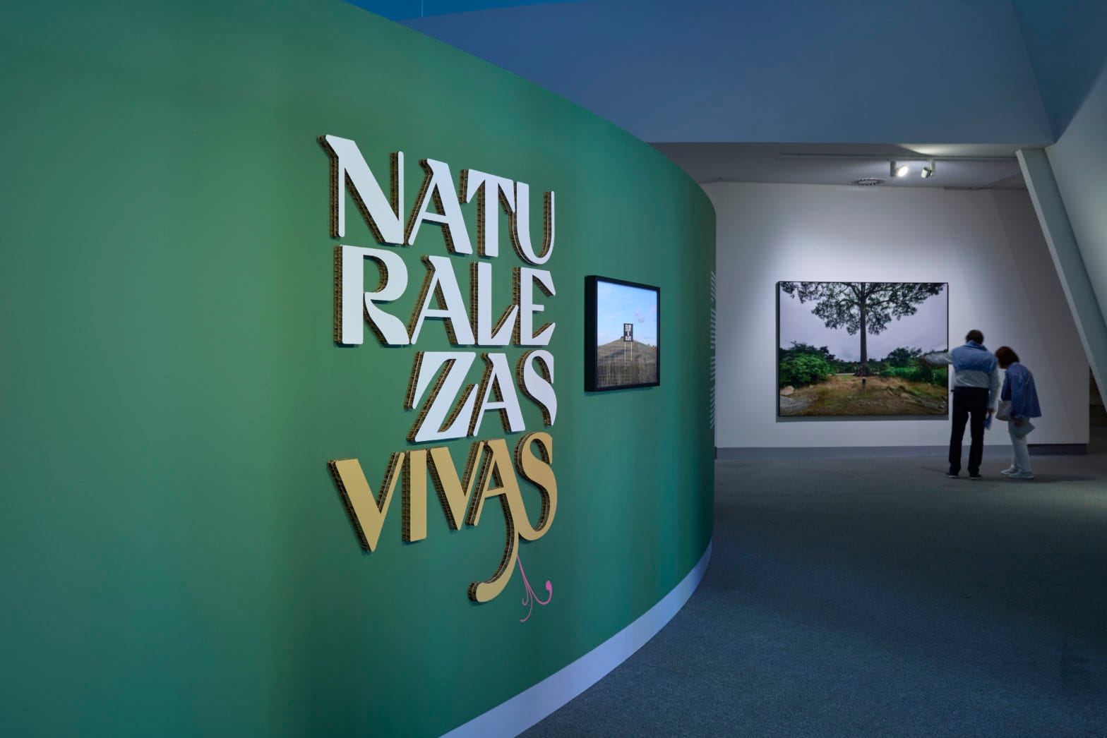 Taller en familia - Naturalezas Vivas
