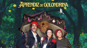 Aprendiz de golondrina