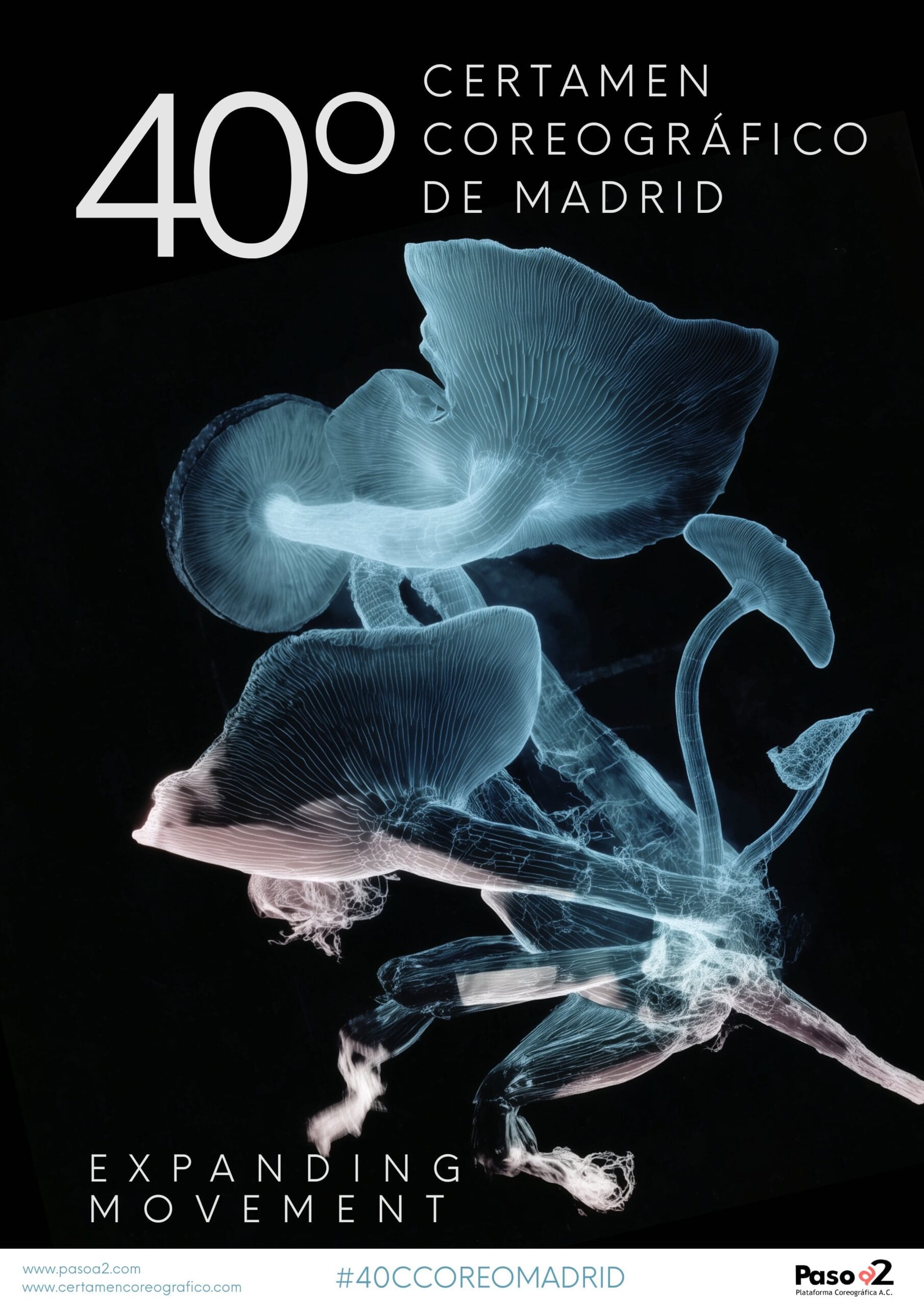 40º Certamen Coreográfico de Madrid