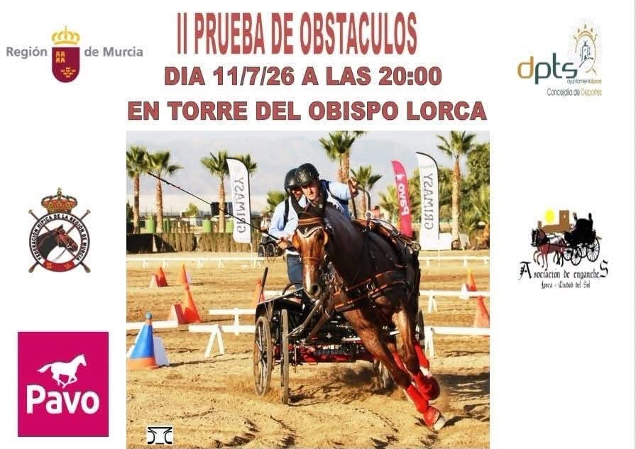 Concurso Territorial de Enganches (II Prueba de Obstáculos)