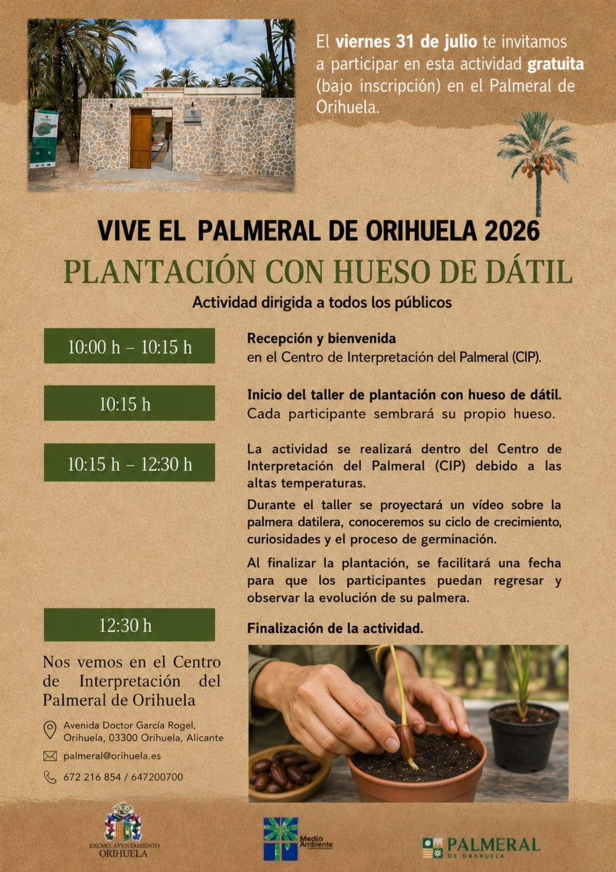 Plantación con hueso de dátil - Vive el Palmeral de Orihuela 2026