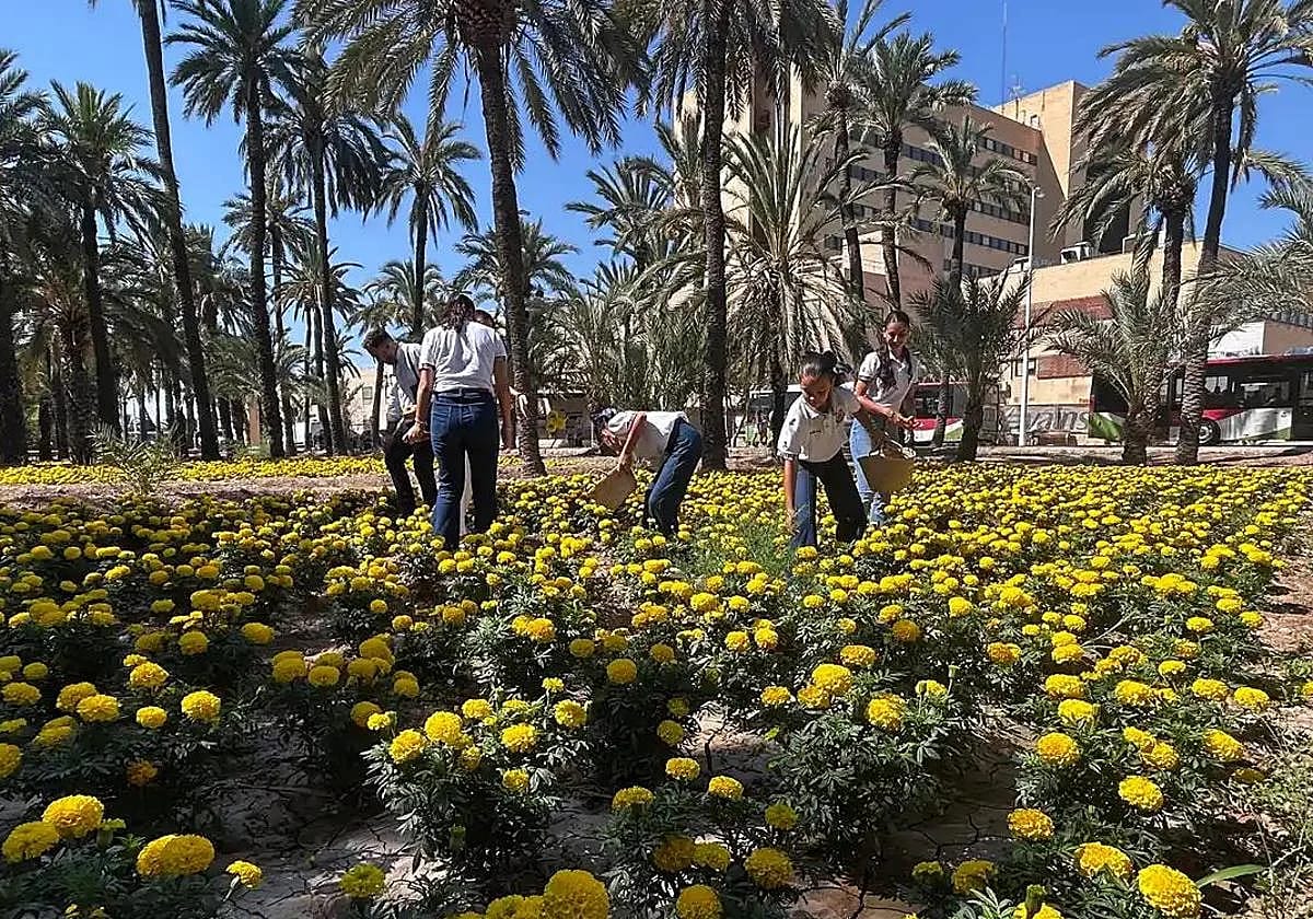 Batalla de las Flores de Elche 2026