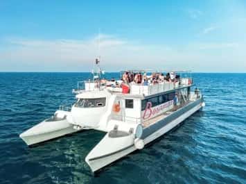 Pasea en catamarán y degusta la auténtica clóchina de València