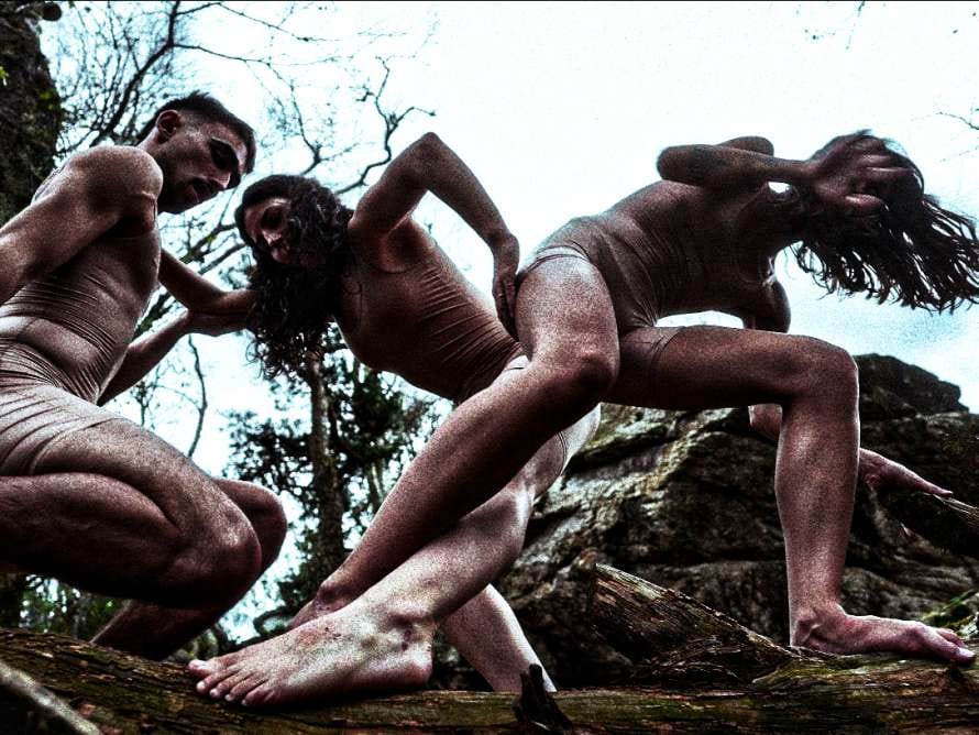 Dana Raz Dance Projects: Rizoma