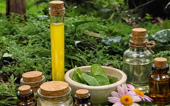 Visita guiada + taller: Cosmética natural