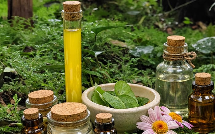 Visita guiada + taller: Cosmética natural