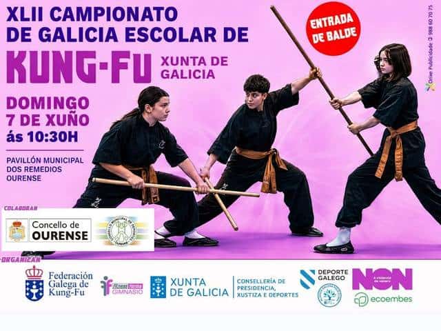 42º Campeonato de Galicia escolar de Kung-Fu