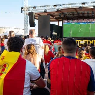 Final del Mundial de fútbol: España - Argentina