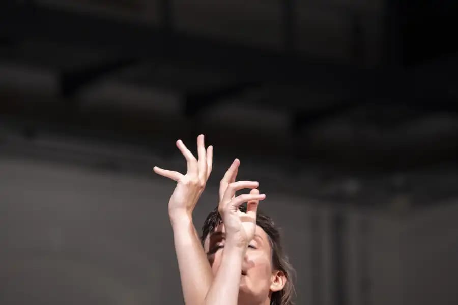 C.C. nº 40 Neri(H)ari - Myriam Perez Cazabon