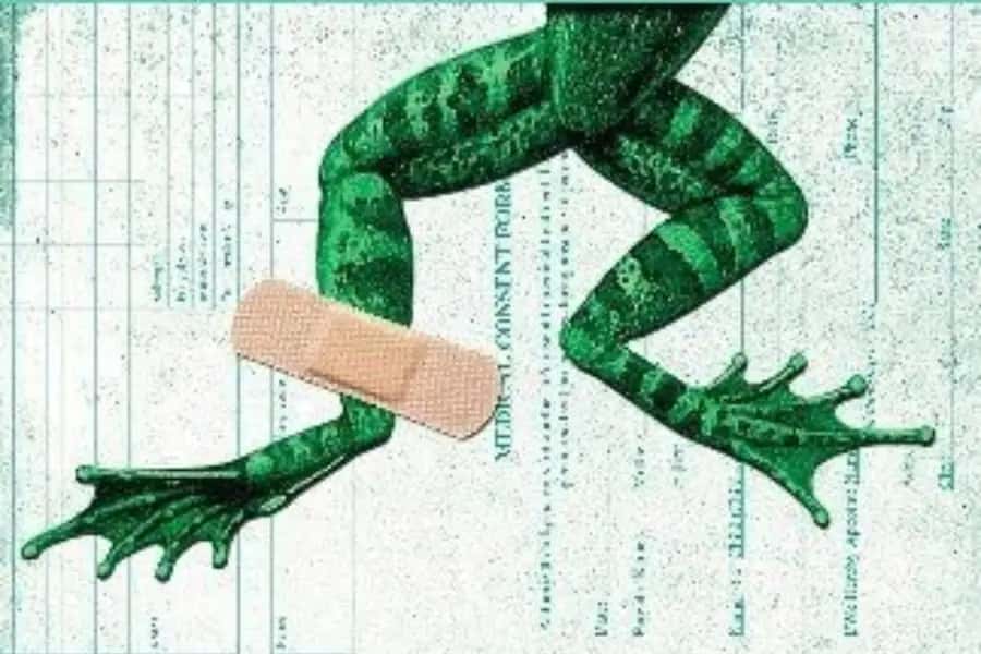 ¿Quién se hará cargo del hospital de ranas? - Tertulia literaria