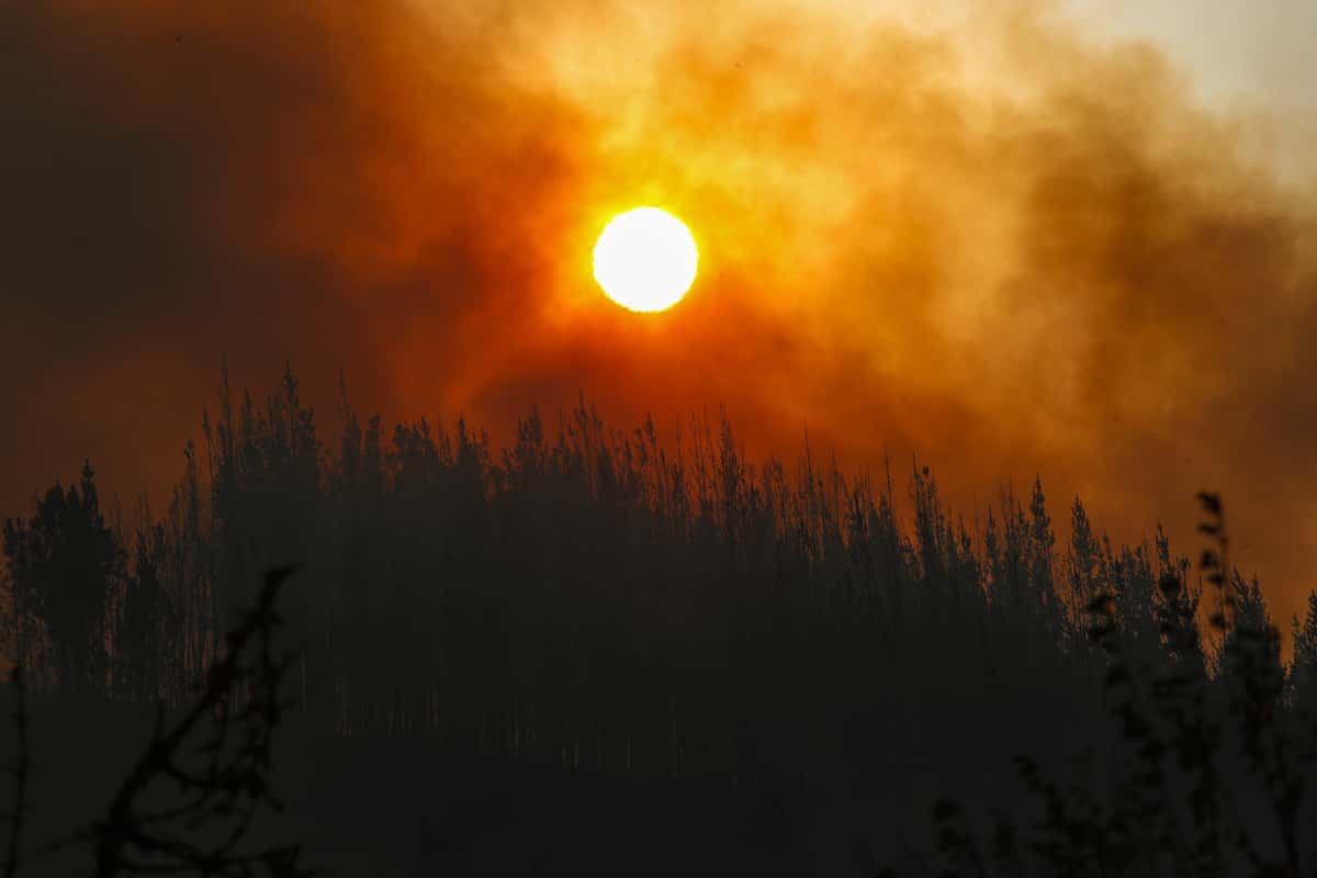 Lume, Foc, Fuego
