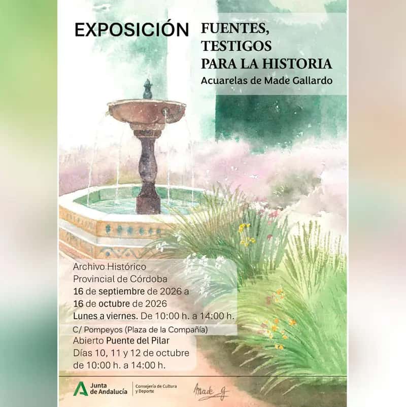 Fuentes. Testigos para la historia