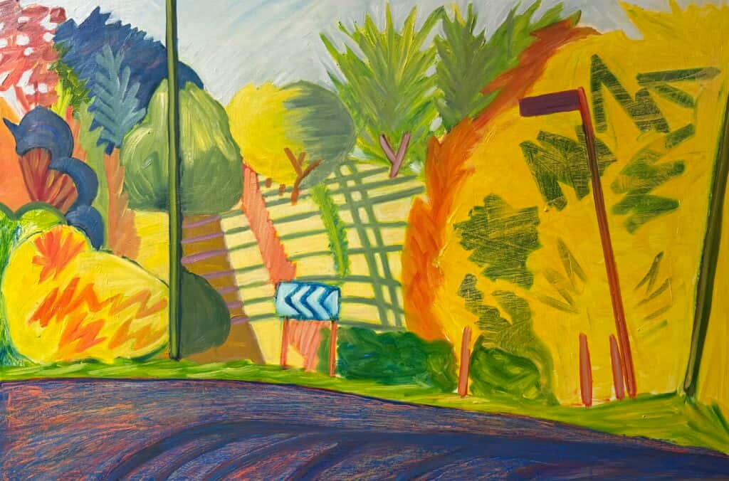 Patrick Mavety - Chasing mountains