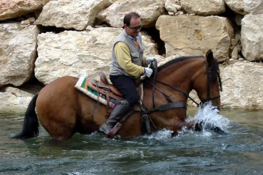 Felix Etxeberria, bizitza bidai