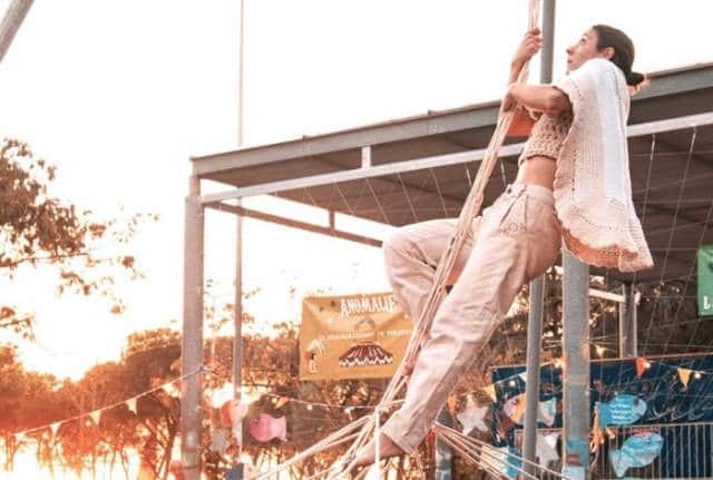 Circus in Motion
