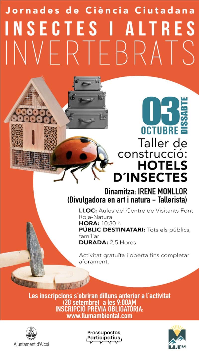 Jornadas de ciencia ciudadana - Insectos y otros invertebrados