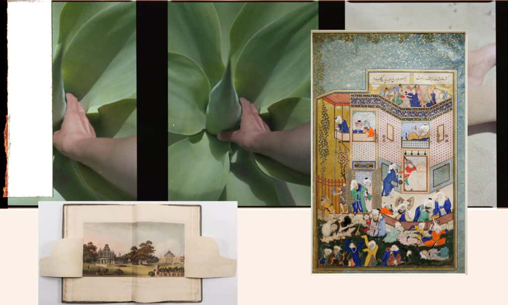 Jardines imaginarios. Reflexiones y ejercicios creativos sobre arte y naturaleza