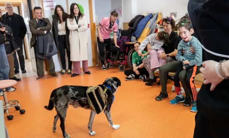 Andada Canina y Familiar Kalibo 5K Zaragoza