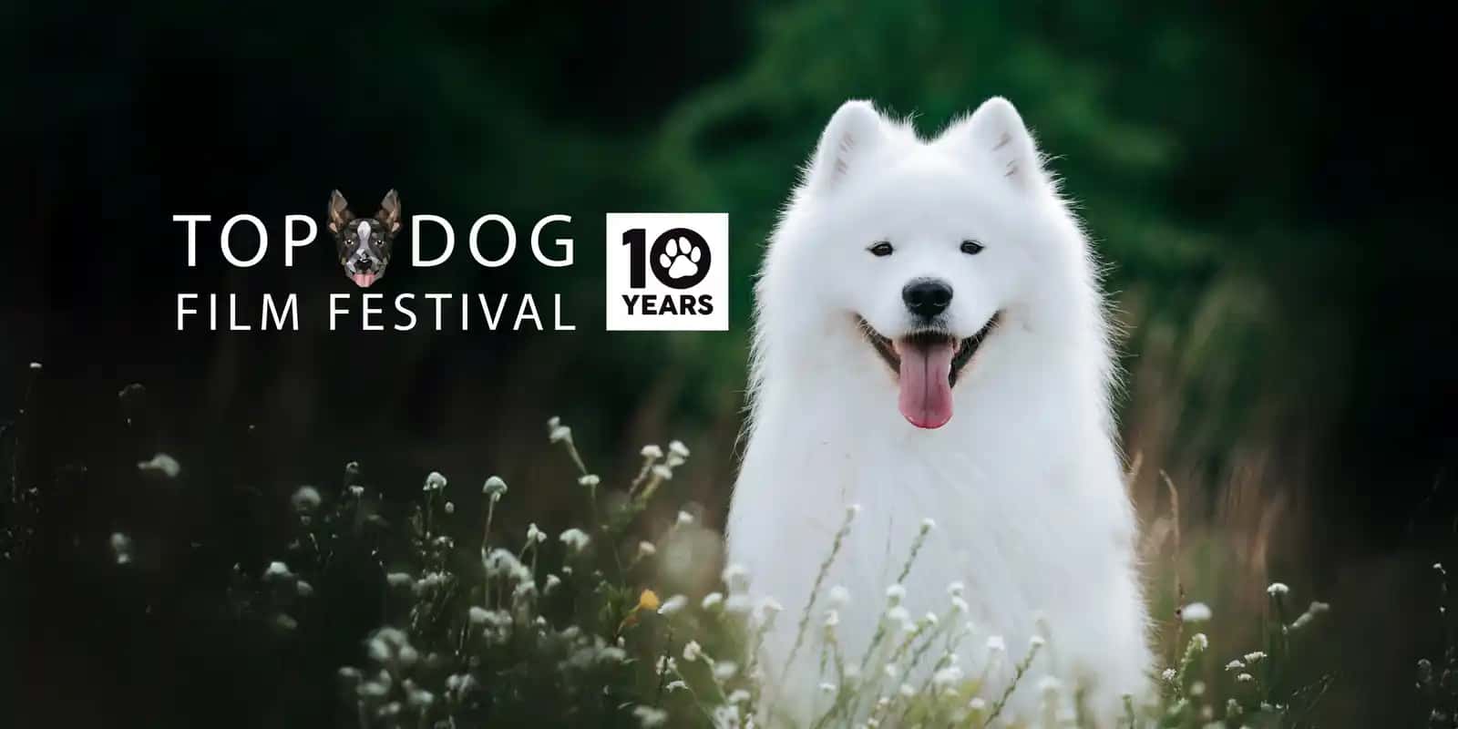 Top Dog Film Festival 2026