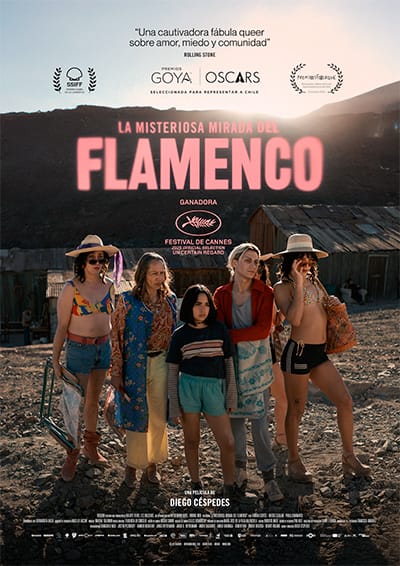 La misteriosa mirada del flamenco