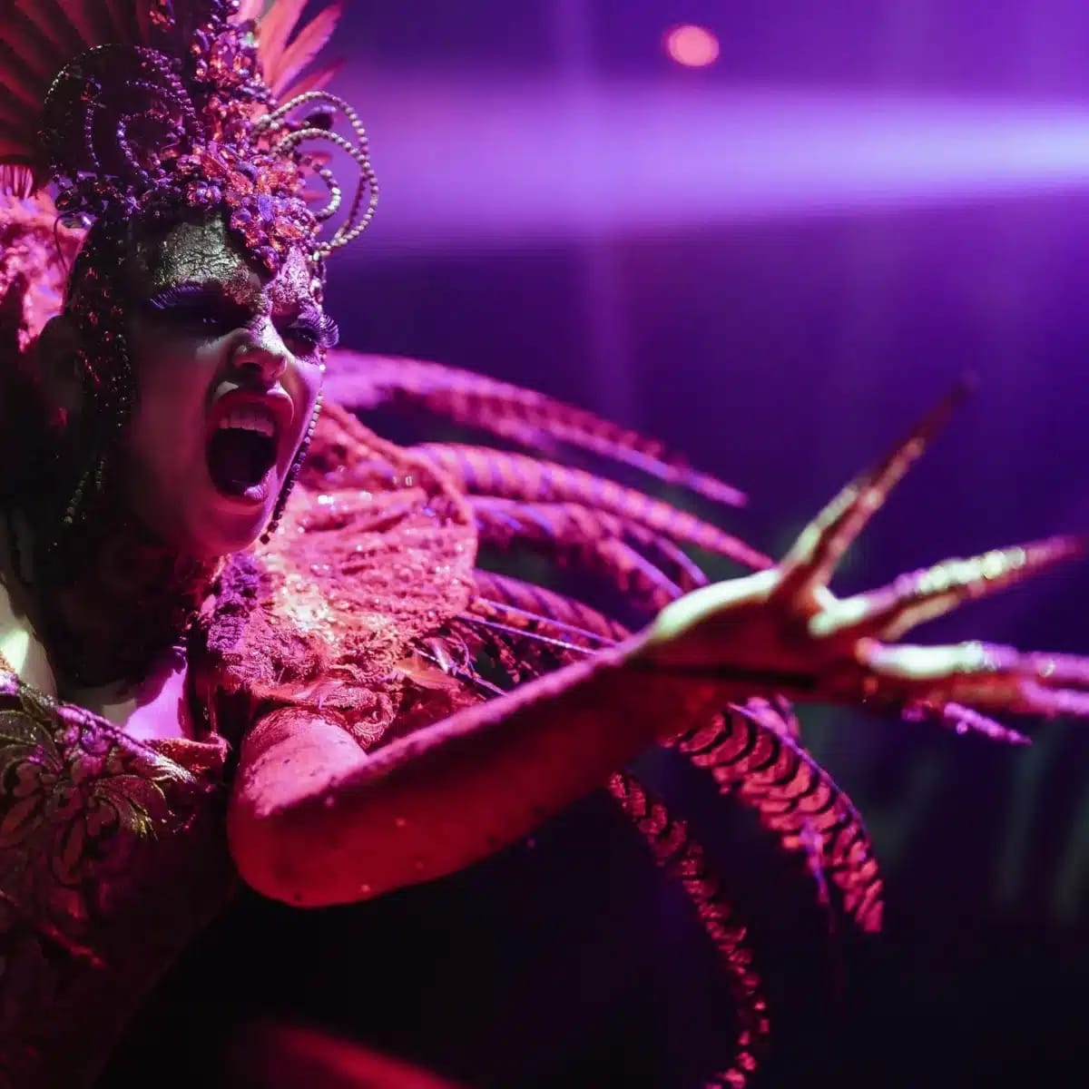 La Troya