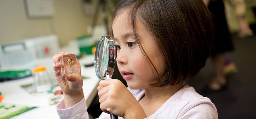 Little Bang Discovery Club