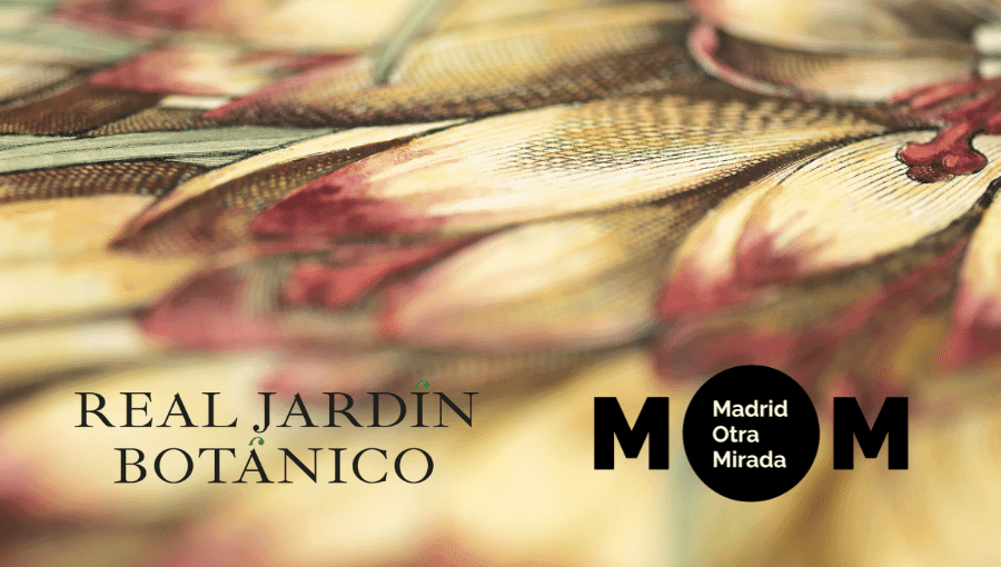 Visita guiada MOM: El Real Jardín Botánico en su contexto histórico