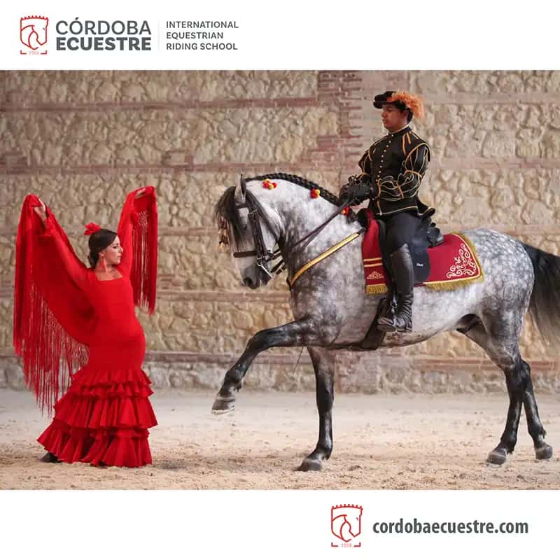 Pasión y duende del caballo andaluz