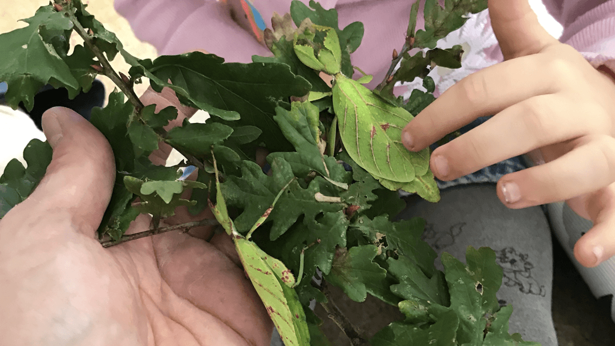 Obradoiros sobre biodiversidade no Aquarium Finisterrae