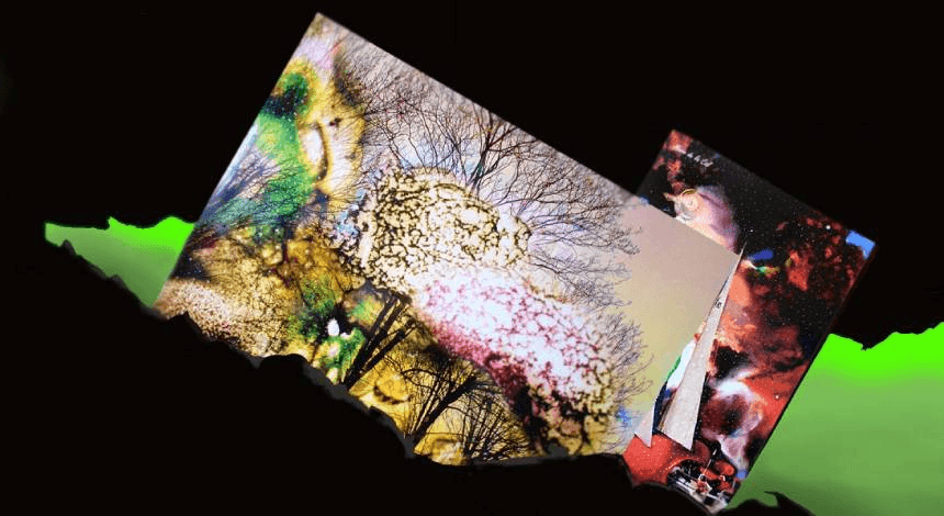 Exposición de fotografía micropictórica - More de la Cal