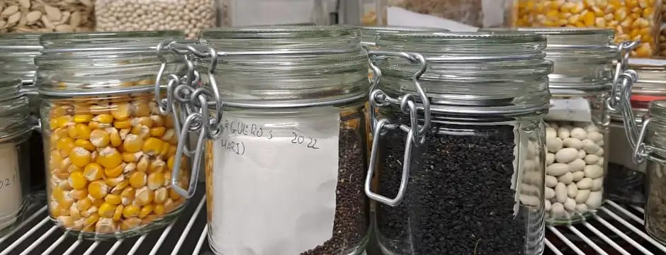 Puertas abiertas en la Red de Semillas de Euskadi