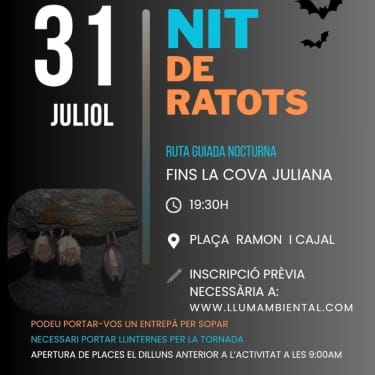 Noche de murciélagos: 31 de julio