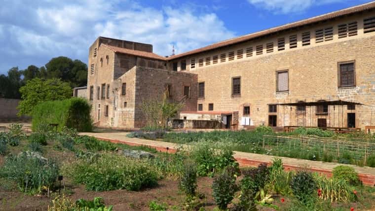 Taller 'Herbarius. Plantes remeieres de l'hort'