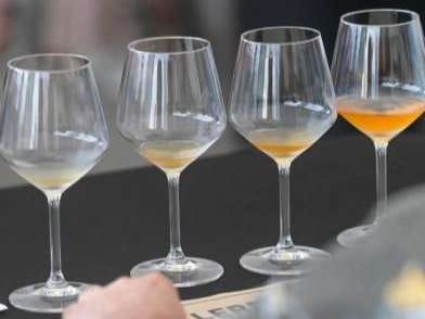 Cata de sidras atlánticas