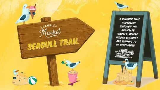 Seagull Trail at Shambles Market