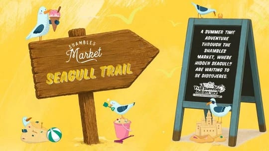 Seagull Trail at Shambles Market