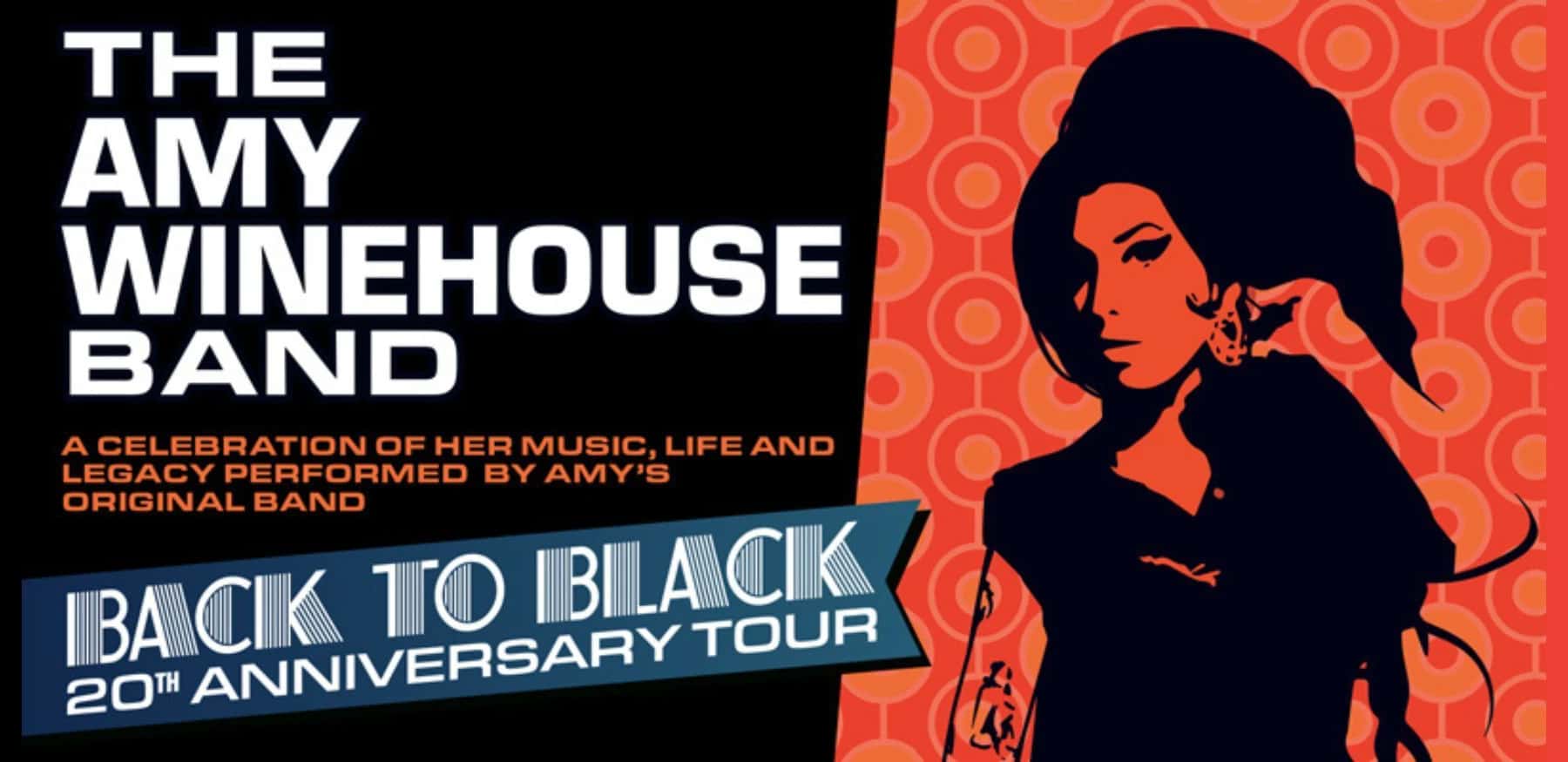 The Amy Winehouse Band
