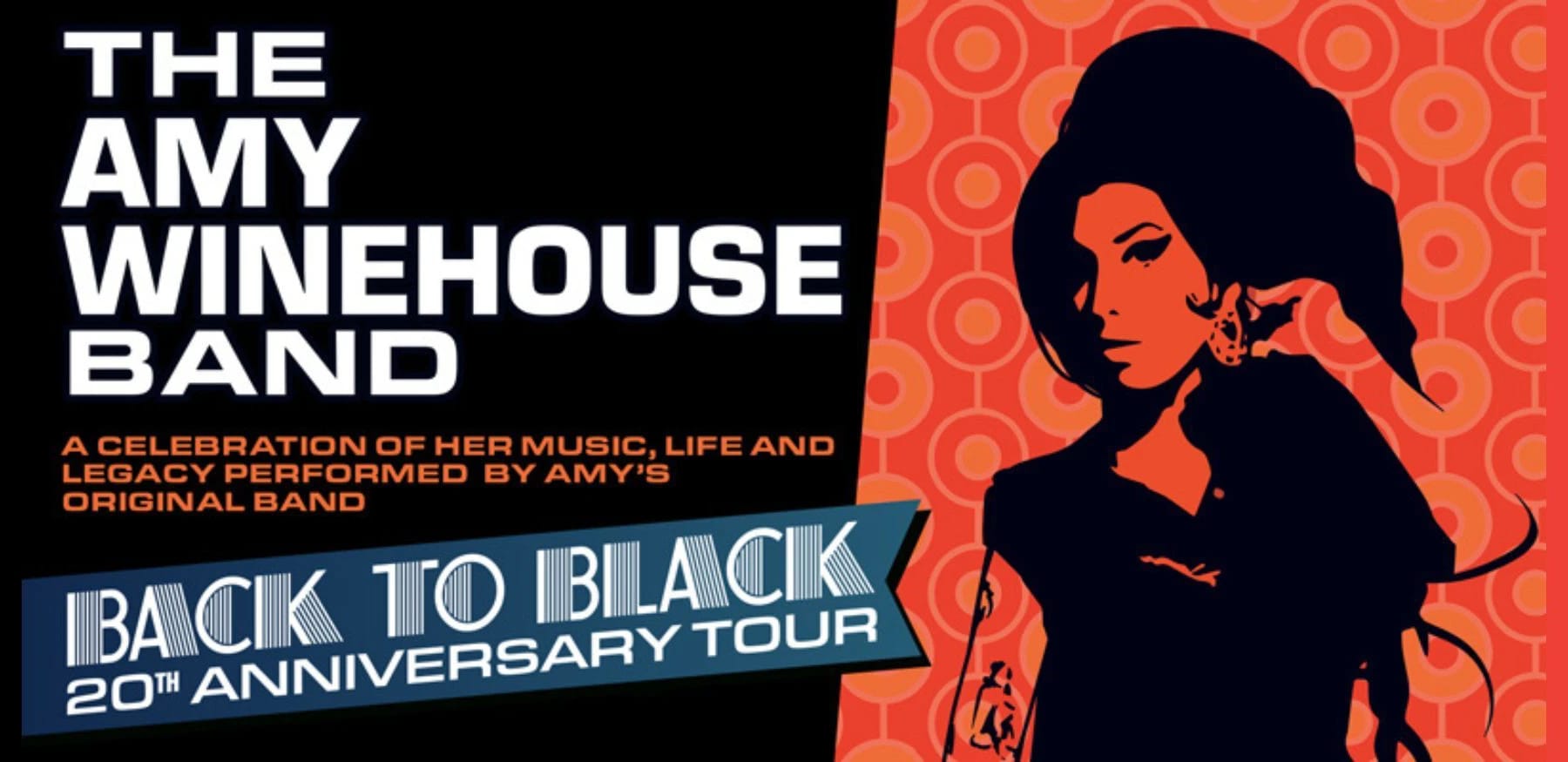 The Amy Winehouse Band