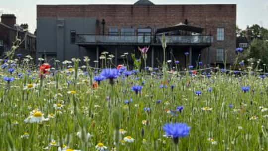 Art Outdoors: Make a Splash