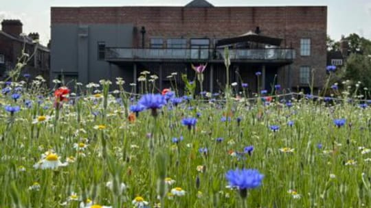 Art Outdoors: Make a Splash
