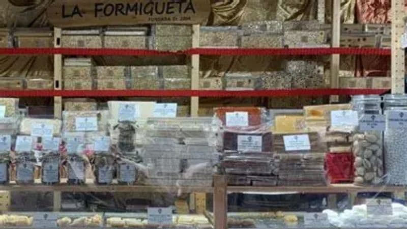 Presentación mundial de 'Choiva'