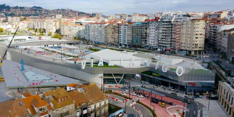 Taller de animales marinos