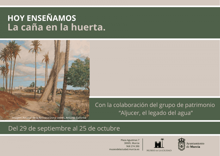 Hoy enseñamos. Microexposición La caña en la huerta