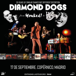 Diamond Dogs