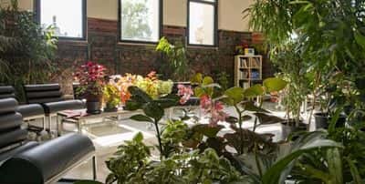 Espacio Cultural Vegetal - Refúgiate en la Cultura