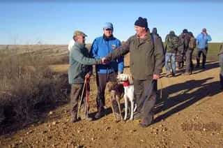 I Copa de Regates de Galgos de Zamora