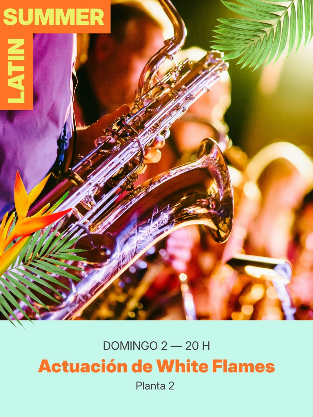 Latin Summer - White Flames
